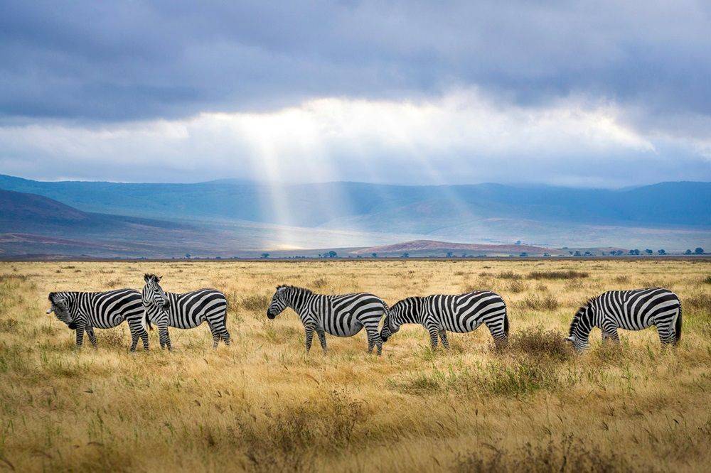 Corporate lawfare &amp; the implications  for rural exclusions in Tanzania’s  conservation-tourism spaces