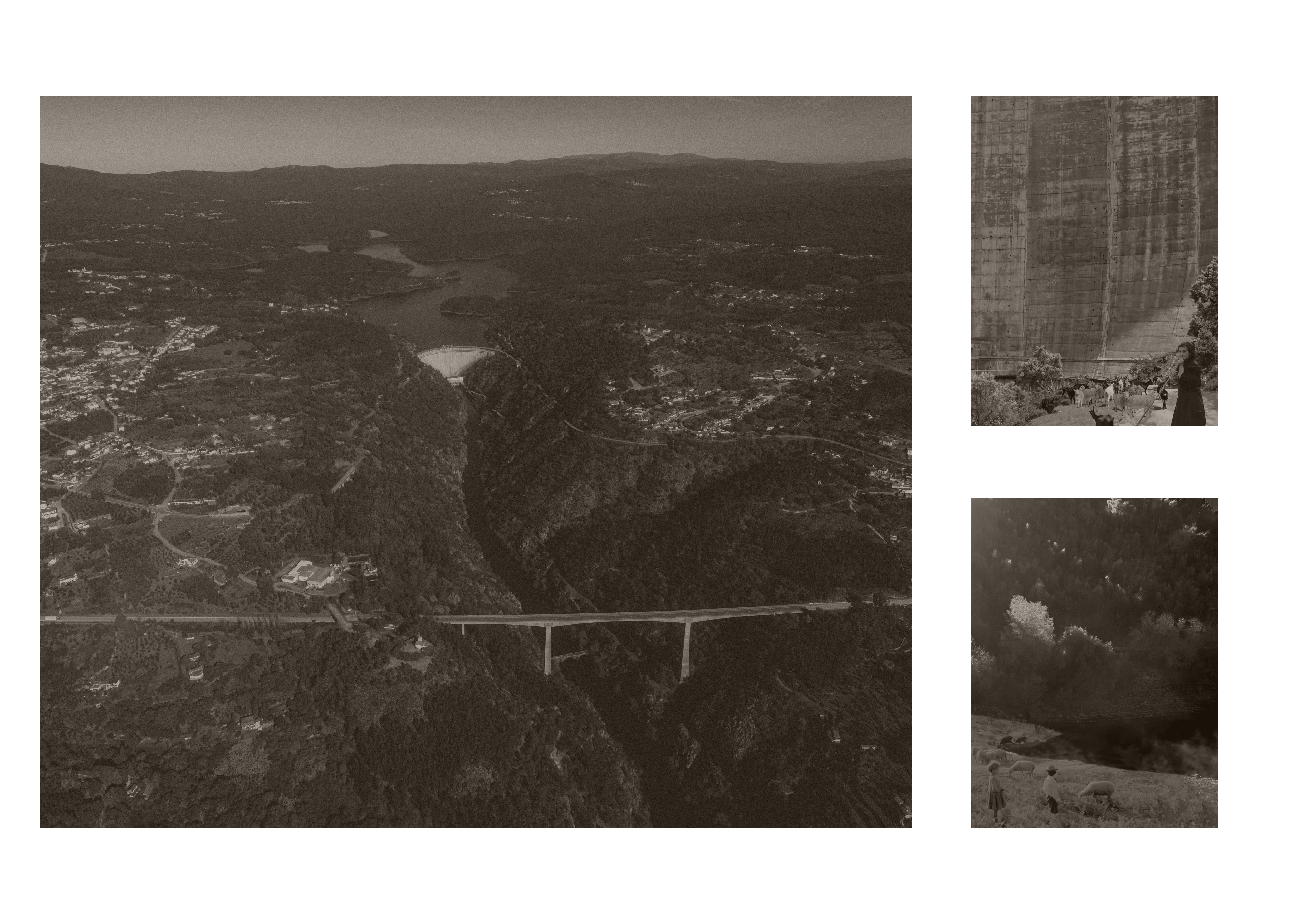 Beatriz Duarte EUmies