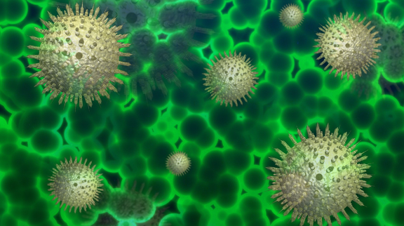 Os Gabinetes Coloniais de Urbanização - Cultura e Prática Arquitectónica 