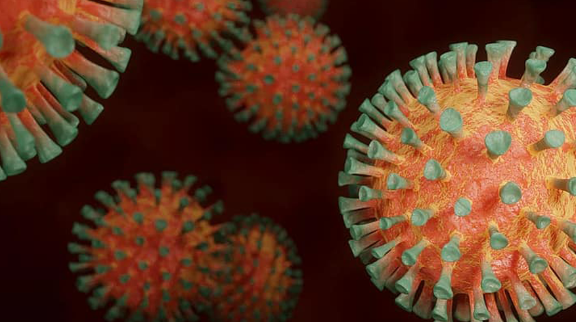 Programa Doutoral em Psicologia