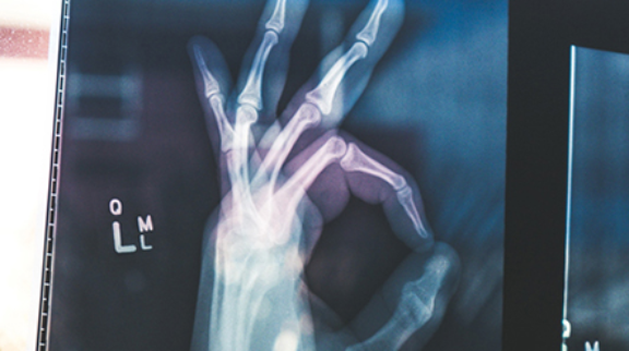 8 Séculos da Língua Portuguesa