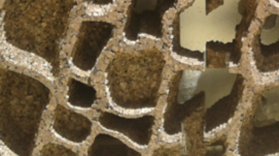 Semana Global do Empreendedorismo