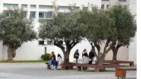 Verão com Ciência junta 100 estudantes e investigadores no Iscte