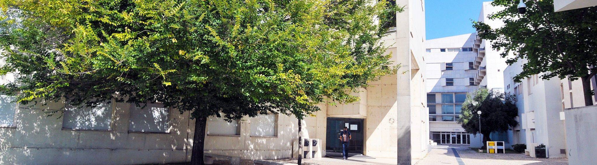 Entrei no Iscte, e agora?