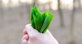 III Congresso de Serviço Social - Conhecimento e Prática Interdisciplinar na Saúde