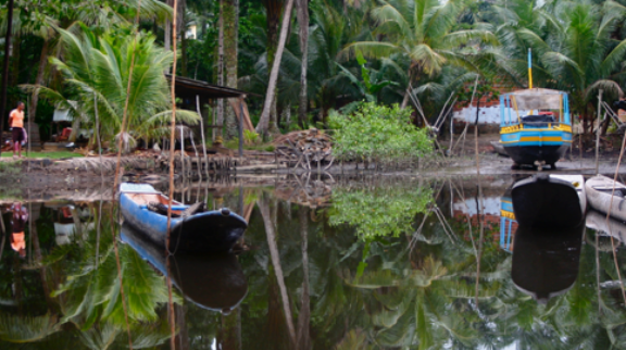O Golpe militar no Mali