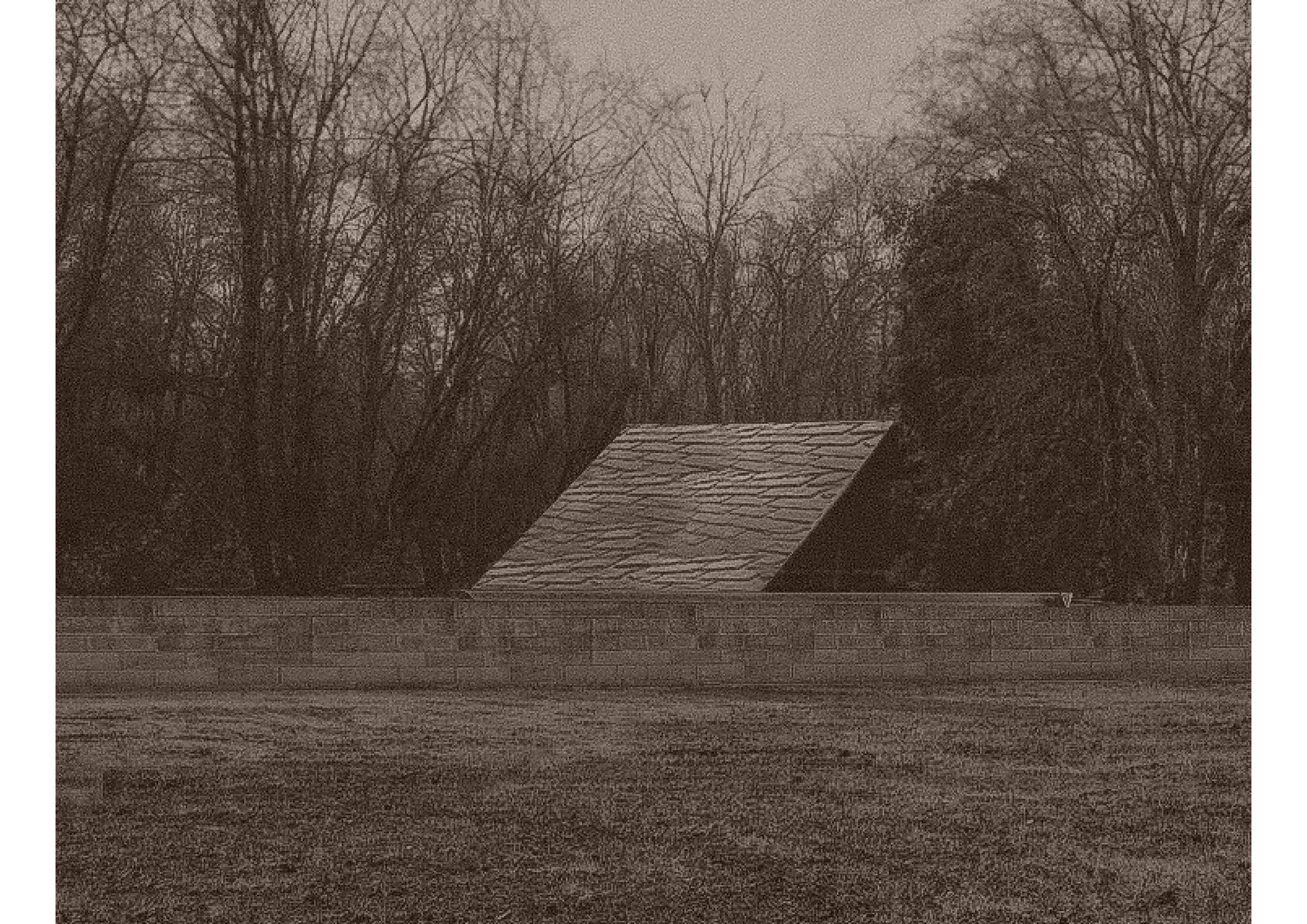Beatriz Duarte, estudante do Mestrado Integrado em Arquitetura, nomeada para os EUmies Awards