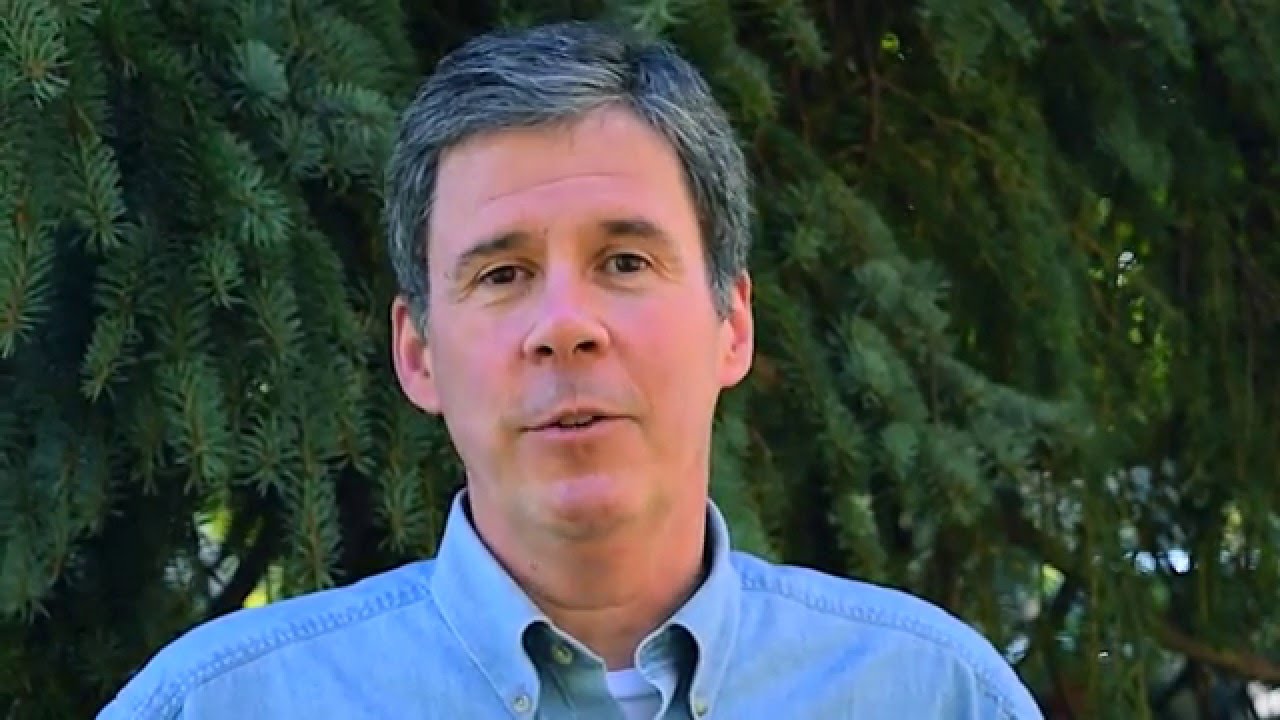 Workplace Interventions in Support of Organizations, Employees, and Society