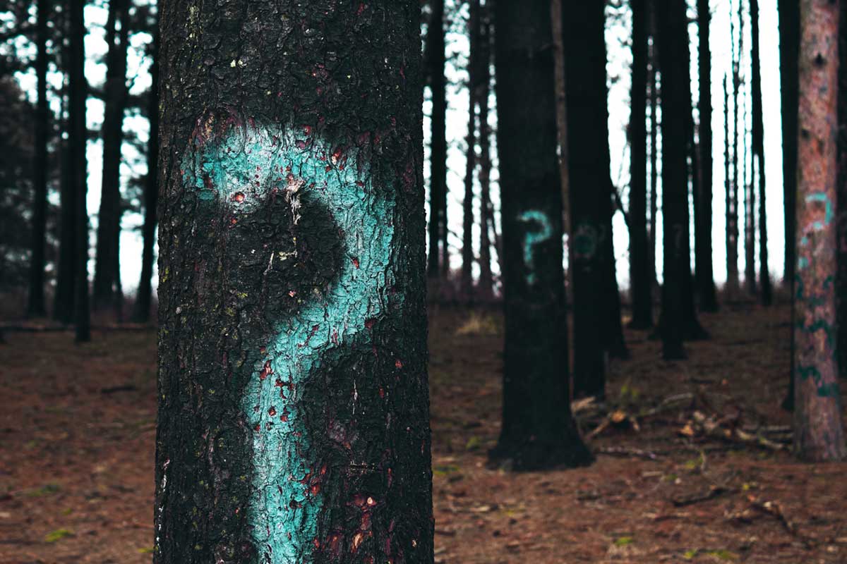 From Curiosity-Based-Learning to Reward-Incentivized-Learning