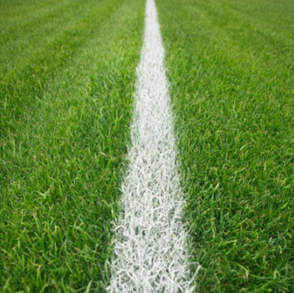 1º Simpósio de Comunicação Desportiva: Media, Clubes e Redes