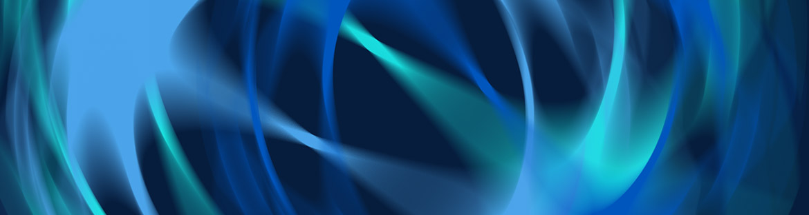 Tomada de Posse da Reitora do ISCTE-IUL