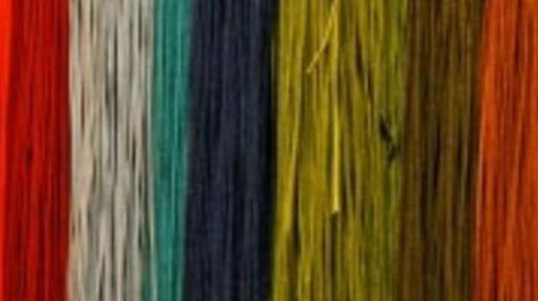 Superdiversidade, saúde e sociedade civil