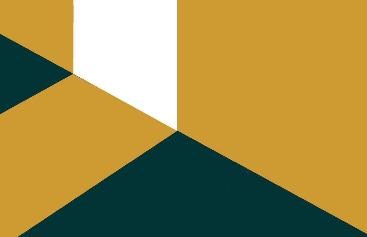 Arquitetura dos Territórios Metropolitanos Contemporâneos (3ª Edição)