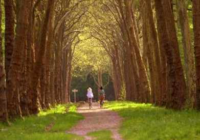 Scope - Comunidades, Organizações e Lugares Sustentáveis