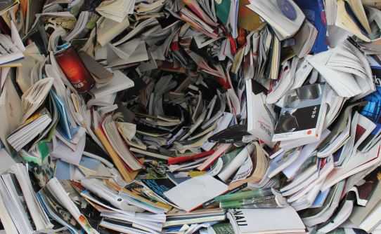 Brunswik meets Politics: Toward an Ecological Approach to Political Psychology