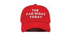 The far right today: challenges for democracy and academia