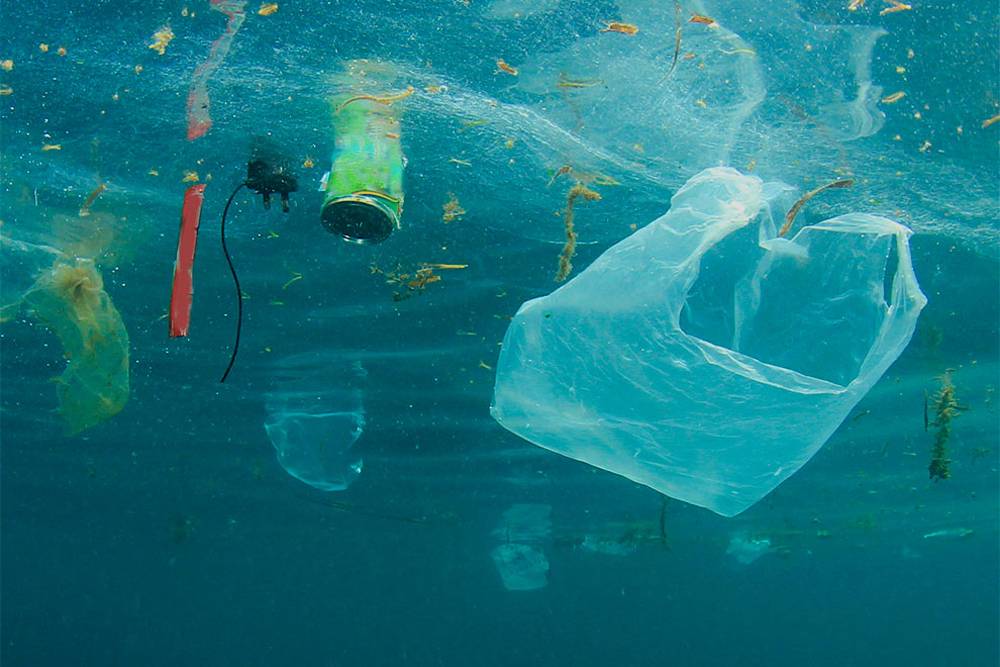 Formação-Ação sobre Lixo Marinho