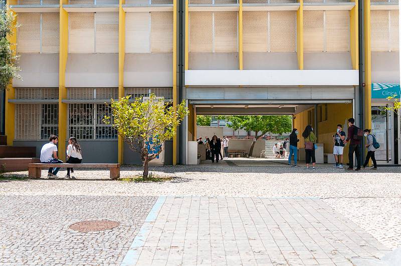 Plantação de árvores