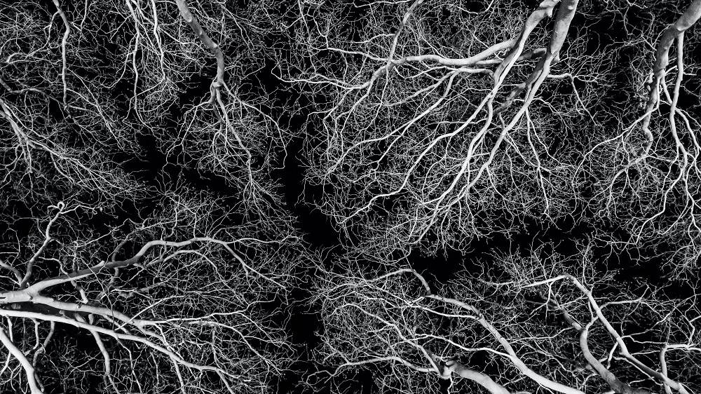 30 anos do Departamento de Sociologia do Iscte: origens e trajetos