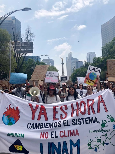 Emotions and climate activism: why they matter