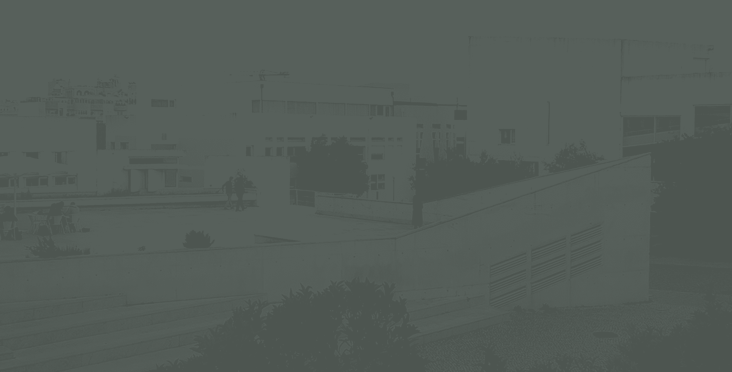 Resilience in a Digital Age: Global Challenges in Organisations and Society?