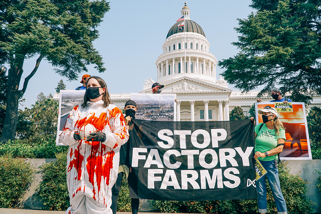 The Psychology of Speciesism and its Intersections with Racism and Sexism