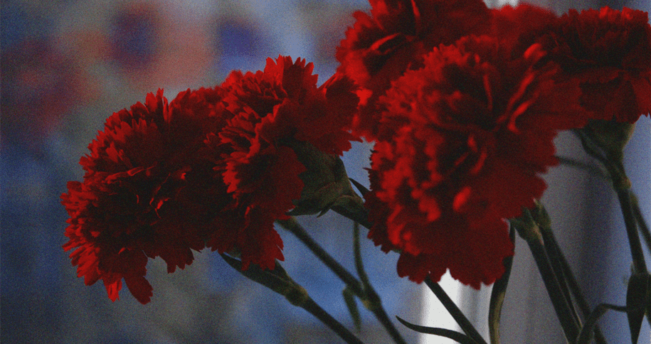 Narrativas de maternidade em tempos de Revolução: O Projeto ABRIL MATER