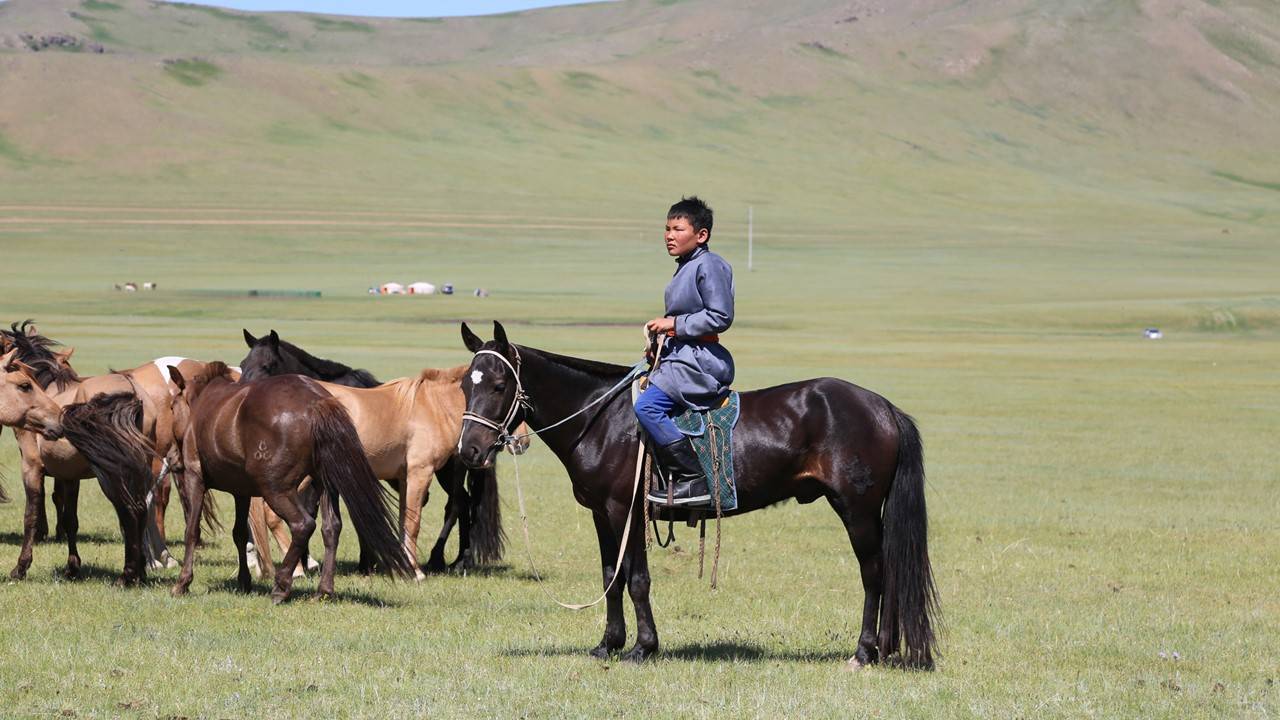 Uma amostra das terras secas globais através dos chás de leite doces e salgados dos pastores do Quénia e da Mongólia