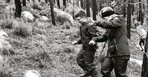 Floresta~Escola: uma muvuca de práticas educativas desemparedadas