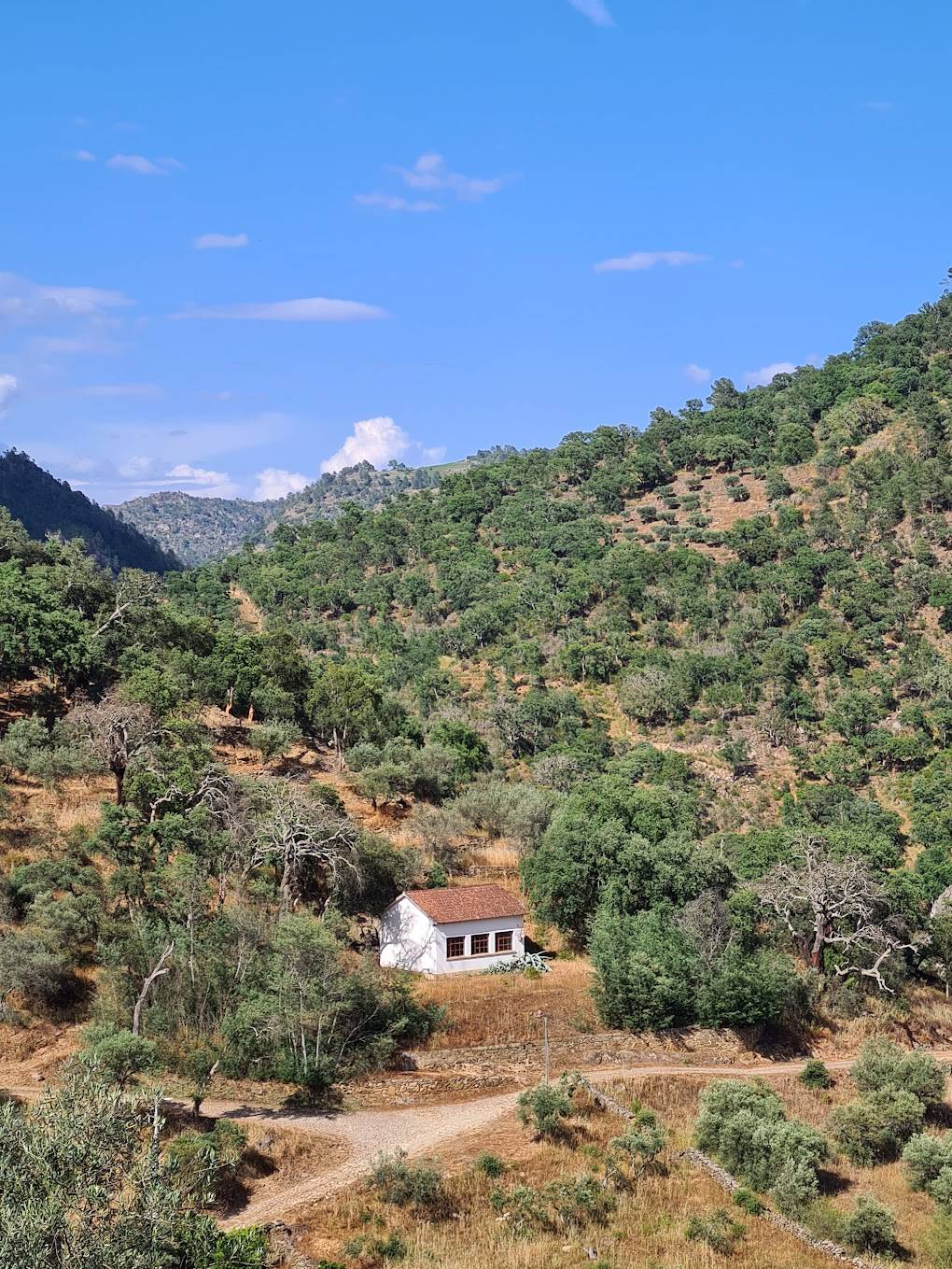 Arquitetura aqui na escola: onde andou na primária?