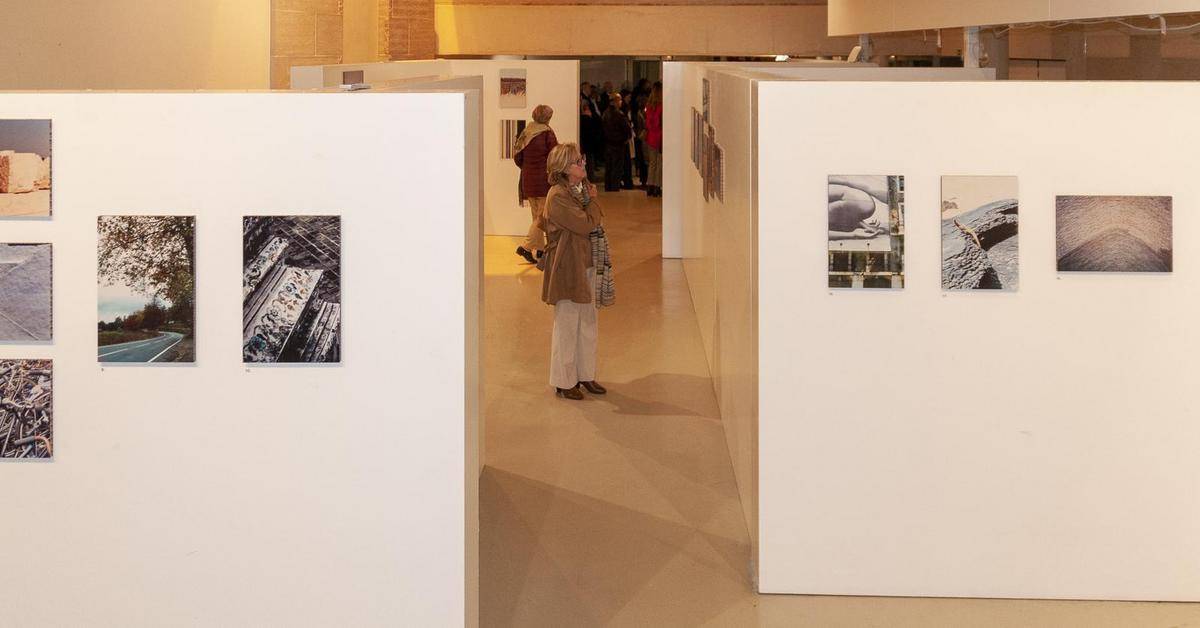 Dali Show 2025 – Wanderings: What makes you question life?