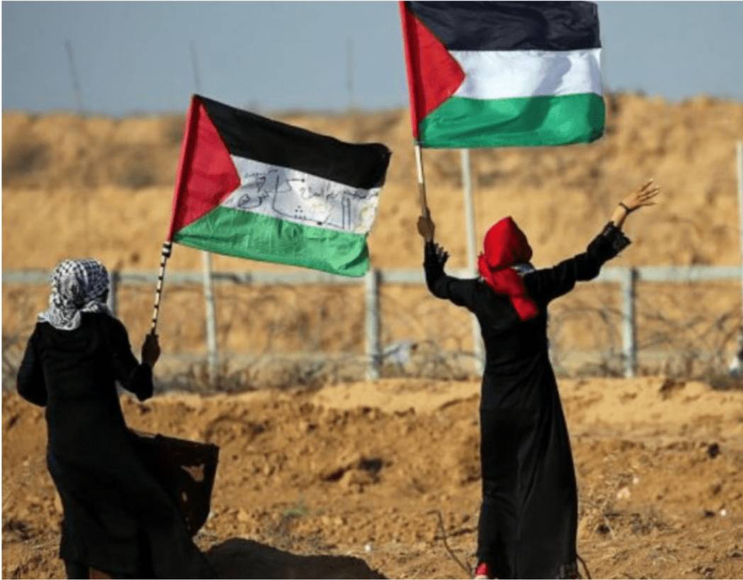 Lançamento do Observatório de Estudos da Palestina