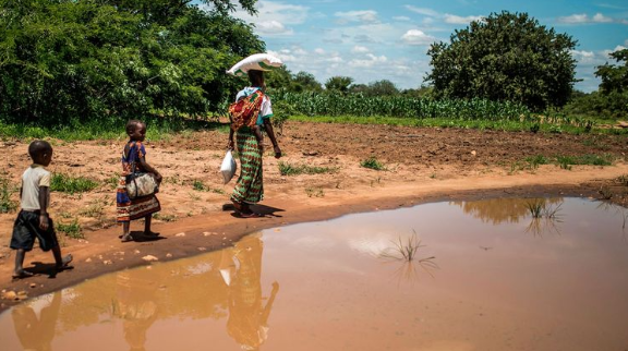 Iscte capacita universidades africanas para Ação Humanitária