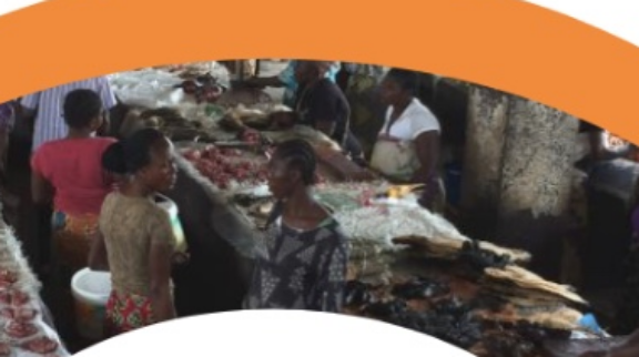 Bushmeat: The Culture and Economy of Eating Wild Animals in Central Africa