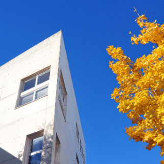 Ciclo Internacional de Conferências Doutorais ESPP 2021/22