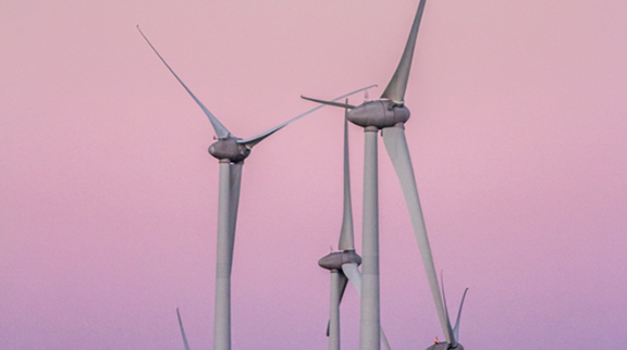 O papel dos media, entre os populismos de direita e uma transição justa, em Portugal