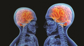 The Socially Shared Nature of Memory: From Joint Encoding to Communication