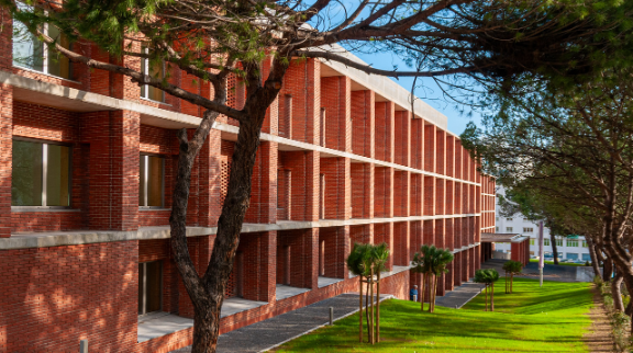 11 investigadores do Iscte entre os mais citados do mundo