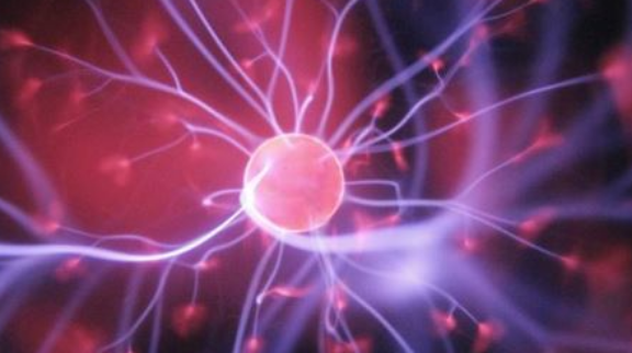 Adaptive memory: Where are we now?