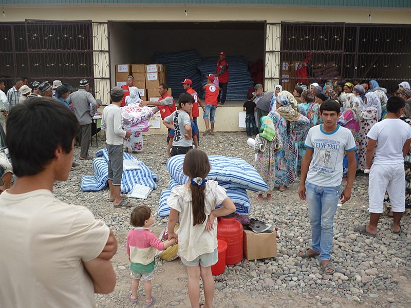 International Program in Humanitarian Action