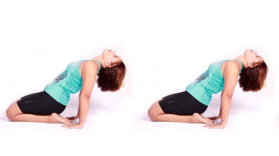 FUNFitness @home Exercício em video-conferência