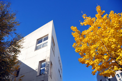 Conferência Internacional - Os Estados Unidos em África no século XXI