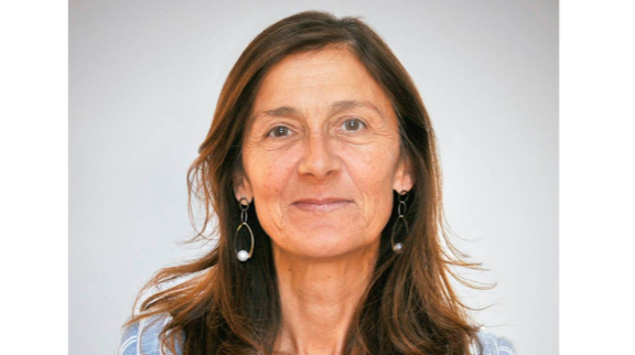 Seminário Internacional de Investigação em Educação 2013