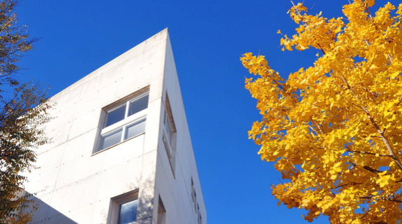 Conference Tackling the crisis